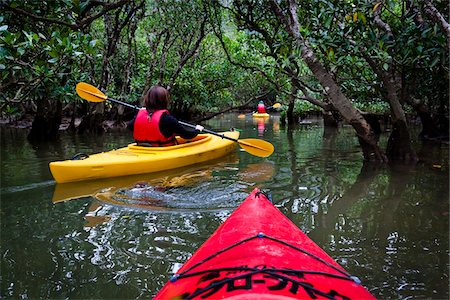 forest boat - Kayaking at Kuroshio No Mori, Mangrove Park, Amami Oshima, Amami Islands, Kagoshima Prefecture, Japan Stock Photo - Rights-Managed, Code: 700-05974003