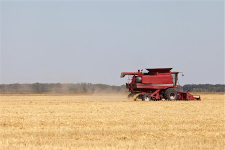 Combine Harvesting Oats, Starbuck, Manitoba, Canada Foto de stock - Con derechos protegidos, Código: 700-05973211