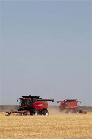 farming in prairies - Combines Harvesting Oats, Starbuck, Manitoba, Canada Stock Photo - Rights-Managed, Code: 700-05973212