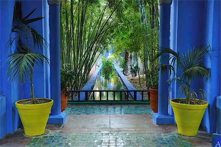 paradis (éden) - Jardin Majorelle, Marrakech, Maroc Photographie de stock - Rights-Managed, Code: 700-06038047