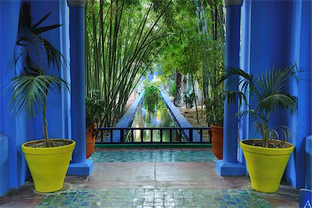 potted plants indoors nobody - Jardin Majorelle, Marrakech, Morocco Stock Photo - Rights-Managed, Code: 700-06038047