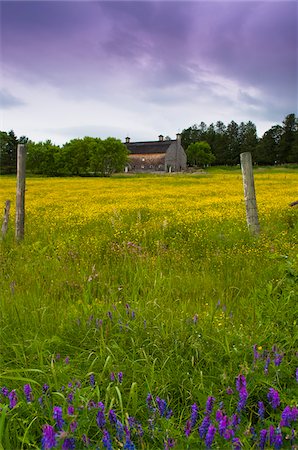 Barn, Sutton, Eastern Townships, Quebec, Canada Foto de stock - Con derechos protegidos, Código: 700-06059677