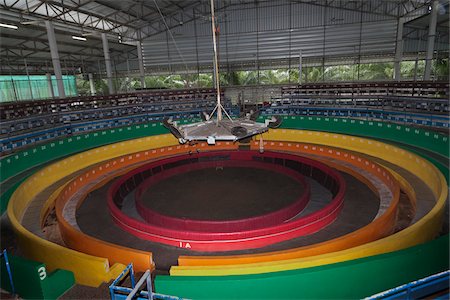 Cockfighting Ring, Lung Suan, Chumporn, Thailand Foto de stock - Con derechos protegidos, Código: 700-06119551