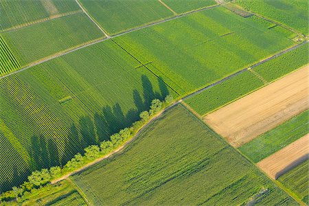 Vue aérienne du vignoble et des champs, Volkach, Bavière, Allemagne Photographie de stock - Rights-Managed, Code: 700-06119584