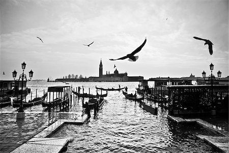 san giorgio maggiore basillica - Vögel, Gondeln und San Giorgio Maggiore, Venedig, Italien Stockbilder - Lizenzpflichtiges, Bildnummer: 700-06119746