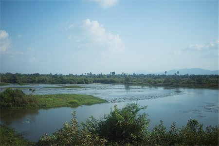 Paddy Fields, Cambodia Stock Photo - Rights-Managed, Code: 700-06199257