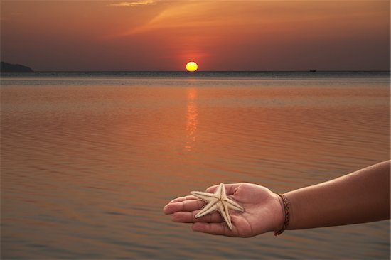 Person Holding Starfish in Hand, Pak Meng Beach, Trang, Thailand Stock Photo - Premium Rights-Managed, Artist: dk & dennie cody, Image code: 700-06190517