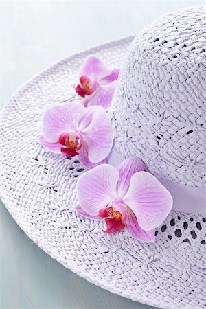 Orchids on Brim of Hat Stock Photo - Rights-Managed, Code: 700-06302290