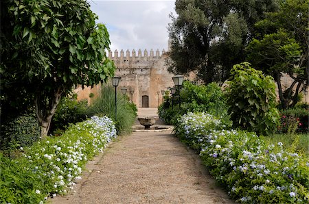 private garden - Andalusian Gardens, Kasbah of the Udayas, Rabat, Morocco Stock Photo - Rights-Managed, Code: 700-06355148