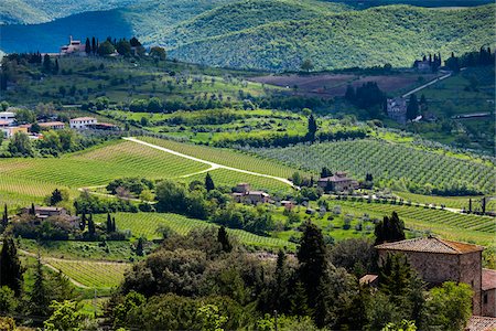 panzano - Panzano in Chianti, Chianti, Tuscany, Italy Foto de stock - Con derechos protegidos, Código: 700-06367855