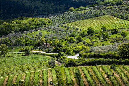 Overview of Vineyards, Greve in Chianti, Chianti, Tuscany, Italy Stock Photo - Rights-Managed, Code: 700-06367850