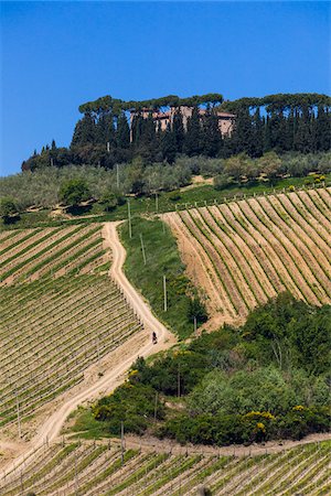 dirt road to farmhouse - Overview of Vineyards, Lilliano, Chianti, Tuscany, Italy Stock Photo - Rights-Managed, Code: 700-06367864