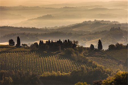 Fog over Vineyards at Dawn, Chianti, Tuscany, Italy Stock Photo - Rights-Managed, Code: 700-06367886