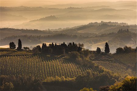 scenic vineyards - Fog over Vineyards at Dawn, Chianti, Tuscany, Italy Stock Photo - Rights-Managed, Code: 700-06367886