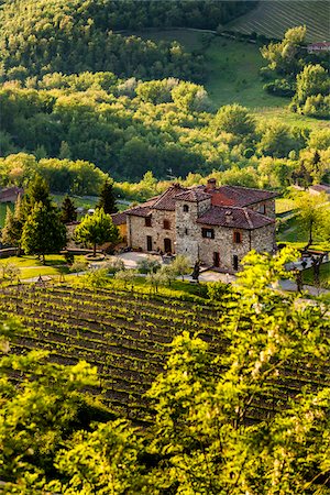 región vinícola del chianti - Farmhouse, Radda in Chianti, Tuscany, Italy Foto de stock - Con derechos protegidos, Código: 700-06367881