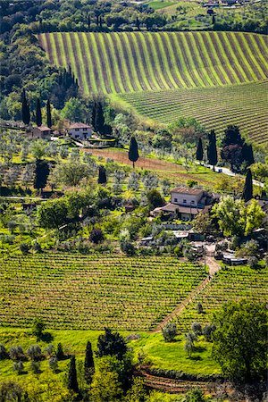 farm home - Vineyard, San Gimignano, Siena Province, Tuscany, Italy Stock Photo - Rights-Managed, Code: 700-06367912