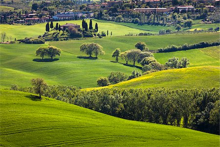 San Quirico d ' Orcia, Siena, Toskana, Italien Stockbilder - Lizenzpflichtiges, Bildnummer: 700-06368045