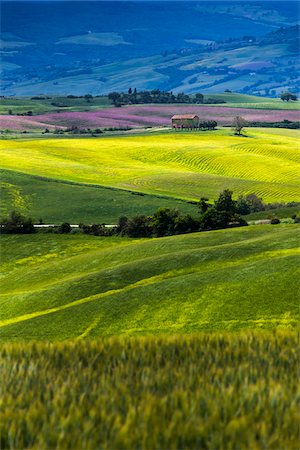 Vue d'ensemble des terres agricoles, Val d'Orcia, Toscane, Italie Photographie de stock - Rights-Managed, Code: 700-06368048