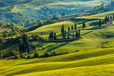 serpentinen - Enroulement Road, Monticchiello, Val d'Orcia, Province de Sienne, Toscane, Italie Photographie de stock - Rights-Managed, Code: 700-06368145