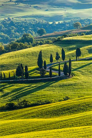 Winding Road, Monticchiello, Val d'Orcia, Province of Siena, Tuscany, Italy Foto de stock - Con derechos protegidos, Código: 700-06368146