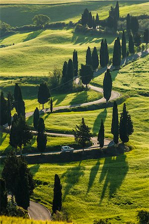 Winding Road, Monticchiello, Val d'Orcia, Province of Siena, Tuscany, Italy Foto de stock - Con derechos protegidos, Código: 700-06368147