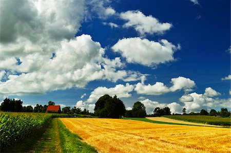 schwarzwald-baar - Barn and Farmland, near Villingen-Schwenningen, Black Forest, Schwarzwald-Baar, Baden-Wurttemberg, Germany Foto de stock - Con derechos protegidos, Código: 700-06368310