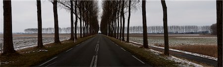 dutch (places and things) - road with trees in winter Stock Photo - Rights-Managed, Code: 700-06368356