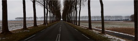 snowy road tree line - road with trees in winter Stock Photo - Rights-Managed, Code: 700-06368356