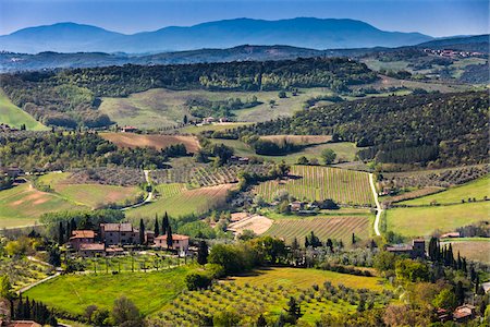 Overview of Farmland and Vineyards, San Gimignano, Province of Siena, Tuscany, Italy Stock Photo - Rights-Managed, Code: 700-06407795