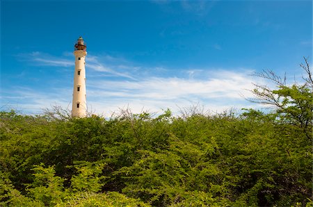 California Lighthouse and Dense Tree Tops, near Arashi Beach, Aruba, Lesser Antilles, Dutch Antilles Foto de stock - Con derechos protegidos, Código: 700-06439083