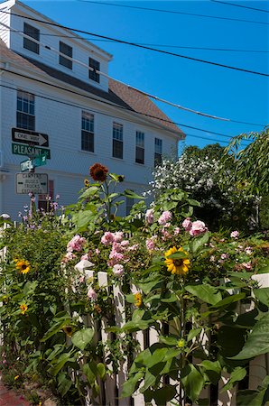 sentido único - Garden, Provincetown, Cape Cod, Massachusetts, USA Foto de stock - Con derechos protegidos, Código: 700-06439097