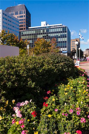 simsearch:700-06439170,k - Flower Bed in Downtown Halifax, Nova Scotia, Canada Photographie de stock - Rights-Managed, Code: 700-06439154