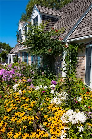 private garden - House with Colorful Flower Garden, Provincetown, Cape Cod, Massachusetts, USA Stock Photo - Rights-Managed, Code: 700-06431221