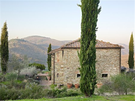 stone house with tile roof, cypress trees, hills in background, Gello Civitella, Civitella in Val di Chiana, Tuscany, Italy Stock Photo - Rights-Managed, Code: 700-06452086