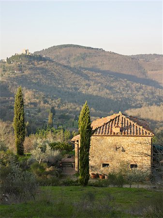 ferme (bâtiment) - stone house with tile roof, cypress trees, hills in background, Gello Civitella, Civitella in Val di Chiana, Tuscany, Italy Photographie de stock - Rights-Managed, Code: 700-06452088