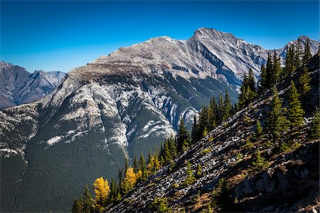 Mount Rundle and Tree Covered Mountainside, Banff National Park, Alberta, Canada Stock Photo - Rights-Managed, Code: 700-06465447