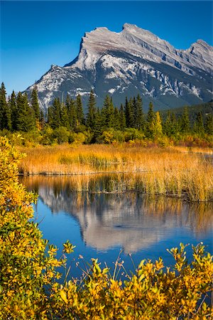 rocky mountains - Mount Rundle and Long Grass in Vermilion Lakes, near Banff, Banff National Park, Alberta, Canada Stockbilder - Lizenzpflichtiges, Bildnummer: 700-06465460
