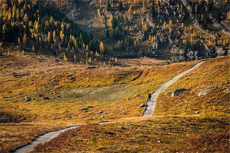 people walking in woods - Person Walking on Trail in Autumn, Mount Assiniboine Provincial Park, British Columbia, Canada Stock Photo - Rights-Managed, Code: 700-06465474