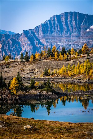 rocky mountains - Rock Isle Lake in Autumn with Mountain Range in Background, Mount Assiniboine Provincial Park, British Columbia, Canada Stock Photo - Rights-Managed, Code: 700-06465481