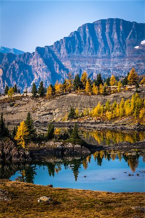 rocheux - Rock Isle Lake in Autumn with Mountain Range in Background, Mount Assiniboine Provincial Park, British Columbia, Canada Photographie de stock - Rights-Managed, Code: 700-06465481