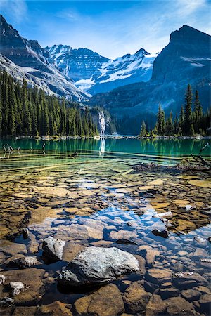 Rocky Shore of Alpine Lake, Lake O'Hara, Yoho National Park, British Columbia, Canada Foto de stock - Con derechos protegidos, Código: 700-06465514