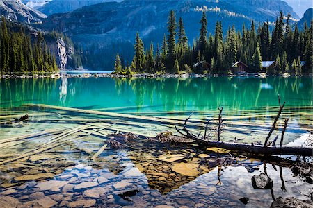 rocky mountains national park - Fallen Trees and Rocky Shoreline at Lake O'Hara, Yoho National Park, British Columbia, Canada Stock Photo - Rights-Managed, Code: 700-06465515