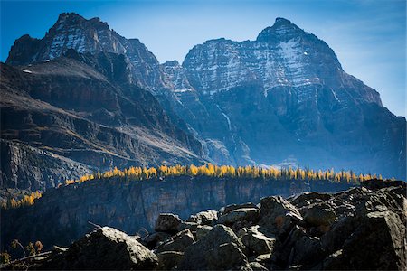 rocheux - Alpine Larch on Mountain Ridge in Rocky Landscape, Lake McArthur Trail, Yoho National Park, British Columbia, Canada Photographie de stock - Rights-Managed, Code: 700-06465521