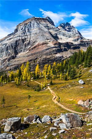 simsearch:700-06465472,k - Lake McArthur Trail Through Autumn Larch and Mountainous Landscape, Yoho National Park, British Columbia, Canada Stockbilder - Lizenzpflichtiges, Bildnummer: 700-06465533