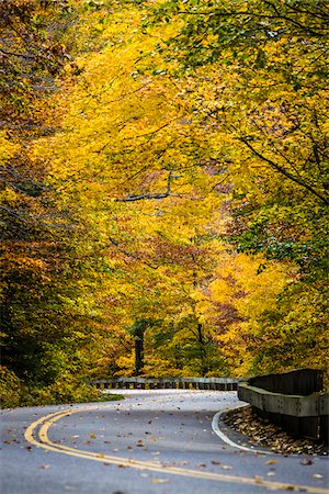 serpentinen - Winding Country Road, Smugglers Notch, Lamoille County, Vermont, USA Photographie de stock - Rights-Managed, Code: 700-06465609