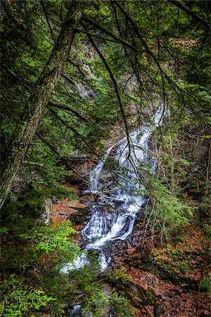 Waterfall and Evergreen Trees, Moss Glen Falls Natural Area, C.C. Putnam State Forest, Lamoille County, Vermont, USA Stockbilder - Lizenzpflichtiges, Bildnummer: 700-06465638