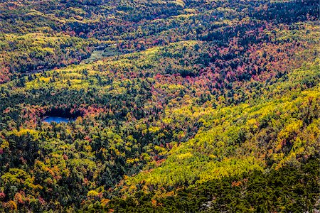 View of Valley with Fall Colours as seen from Cadillac Mountain, Acadia National Park, Mount Desert Island, Hancock County, Maine, USA Foto de stock - Direito Controlado, Número: 700-06465704