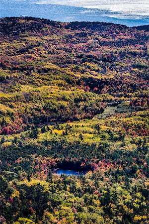 View of Valley with Fall Colours as seen from Cadillac Mountain, Acadia National Park, Mount Desert Island, Hancock County, Maine, USA Foto de stock - Con derechos protegidos, Código: 700-06465707
