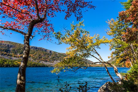 Trees with Leaves in Autumn Transition Surrounding Jordan Pond, Acadia National Park, Mount Desert Island, Hancock County, Maine, USA Photographie de stock - Rights-Managed, Code: 700-06465720