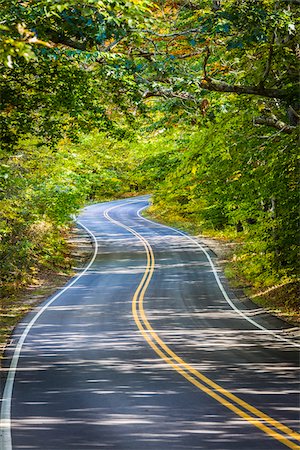 route - Windy Road Through Forest, Race Point, Cape Cod, Massachusetts, USA Photographie de stock - Rights-Managed, Code: 700-06465801